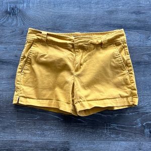 New York & Co. Mustard Shorts